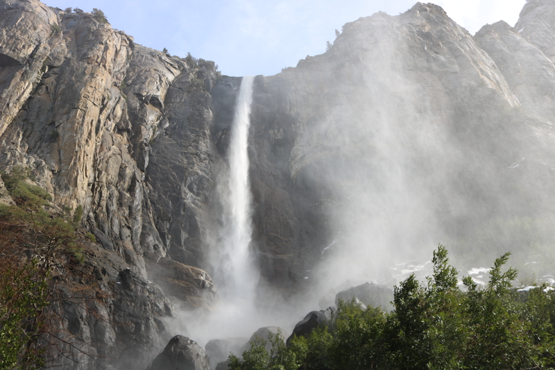 Illustration for article titled A family day with Toby in Yosemite